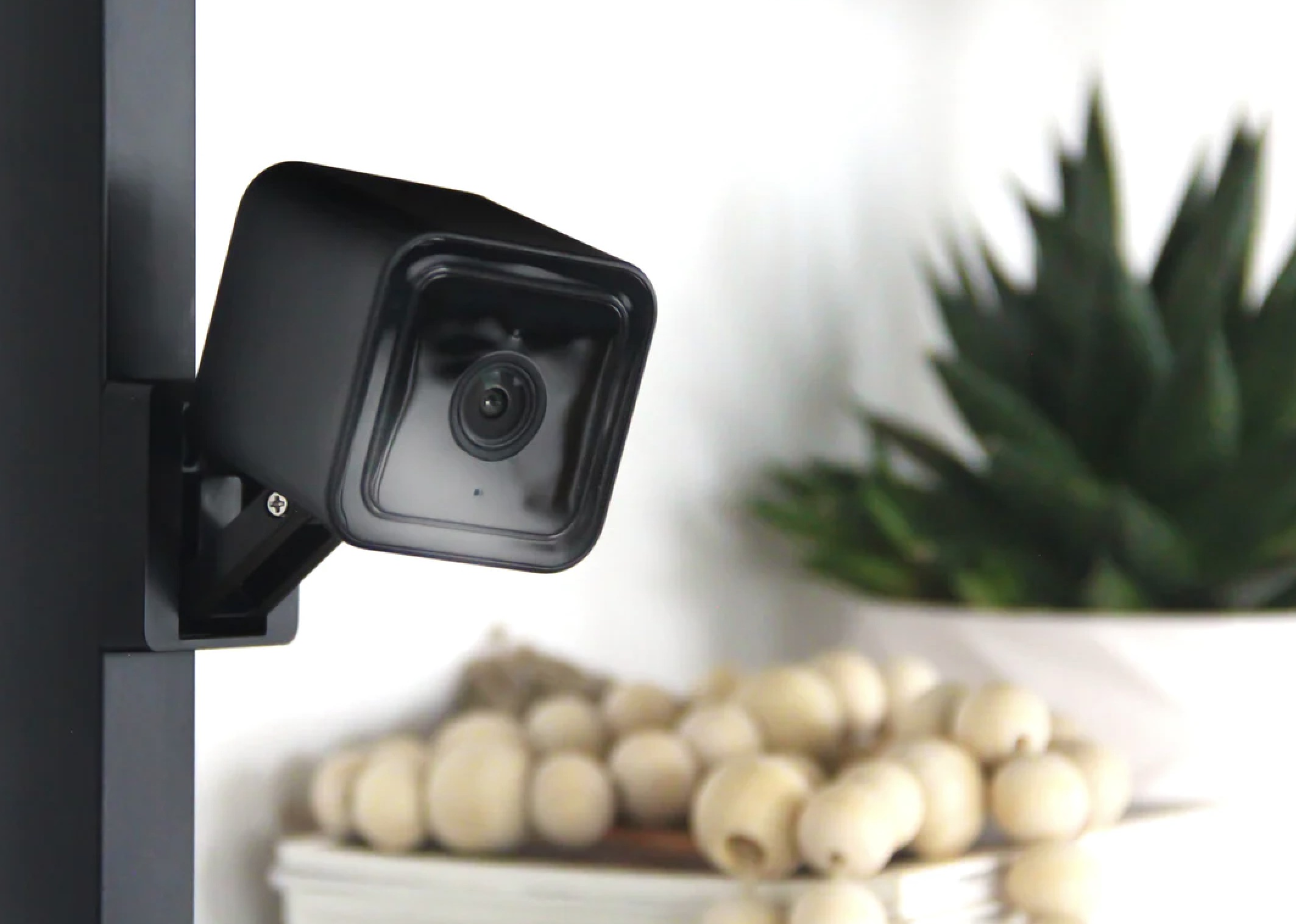 Wyze camera breach allows strangers to peer into others' homes - Vimarsana News