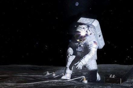 NASA astronauts will try to grow plants on the moon