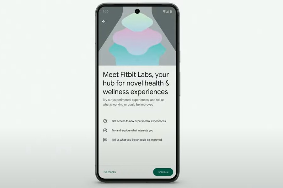 AI in Fitbit app.