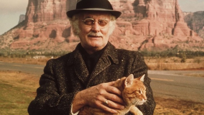 Un anciano sostiene un gato en Harry y Tonto.