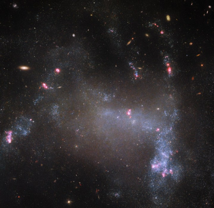 Esta imagen del Telescopio Espacial Hubble de la NASA/ESA muestra la galaxia irregular UGC 5829. 