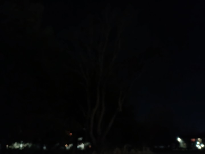 Una foto nocturna de un árbol, tomada con el Moto G Power 5G (2024).