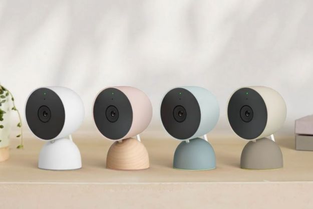 Nest Cams on a counter.