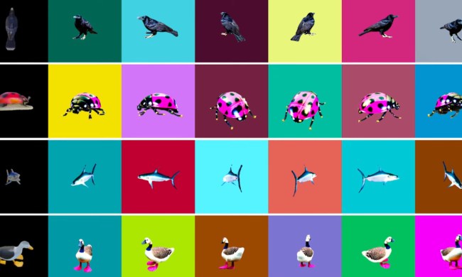 A colorful collage of images generated by Nvidia's LATTE3D.