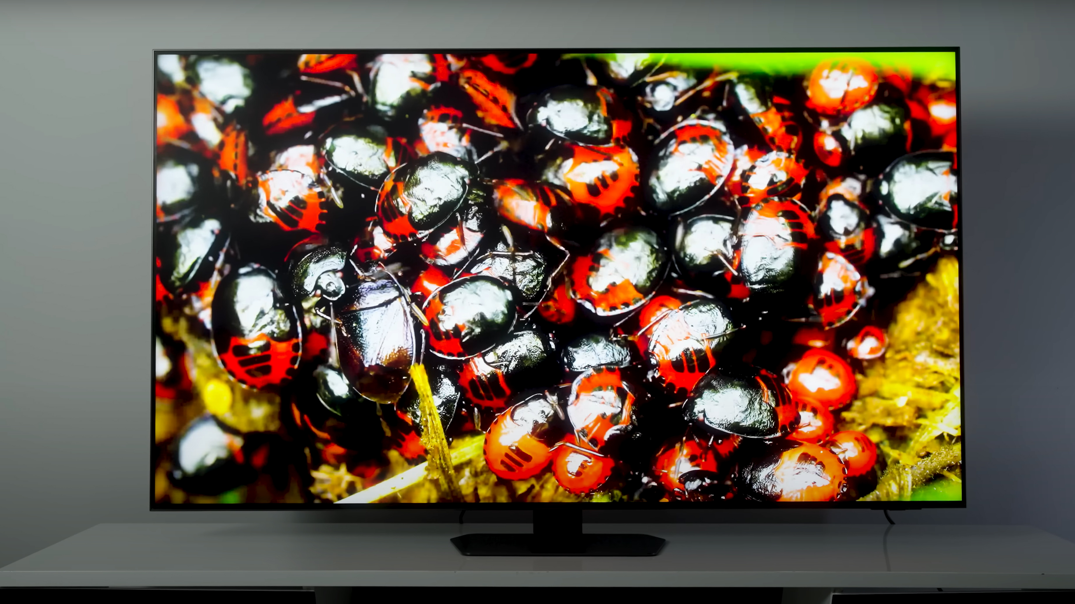 A closeup of a cluster of bees shown on a Samsung QN90D TV.