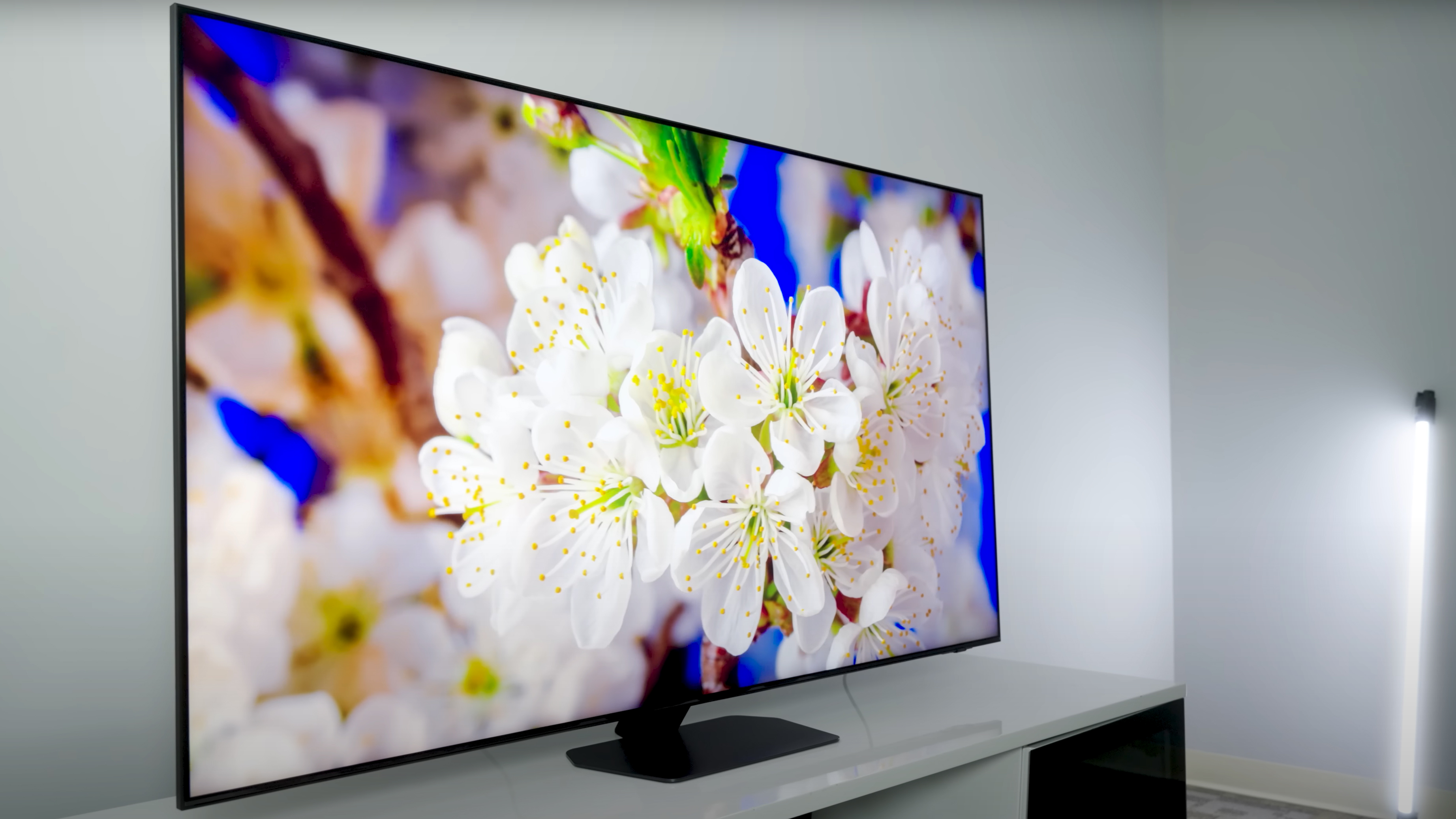 Delicate white blossoms are shown in closeup on a Samsung QN90D.