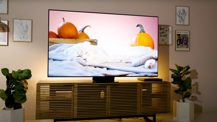 Una escena de productos de colores brillantes se muestra en un televisor OLED Samsung S95D.