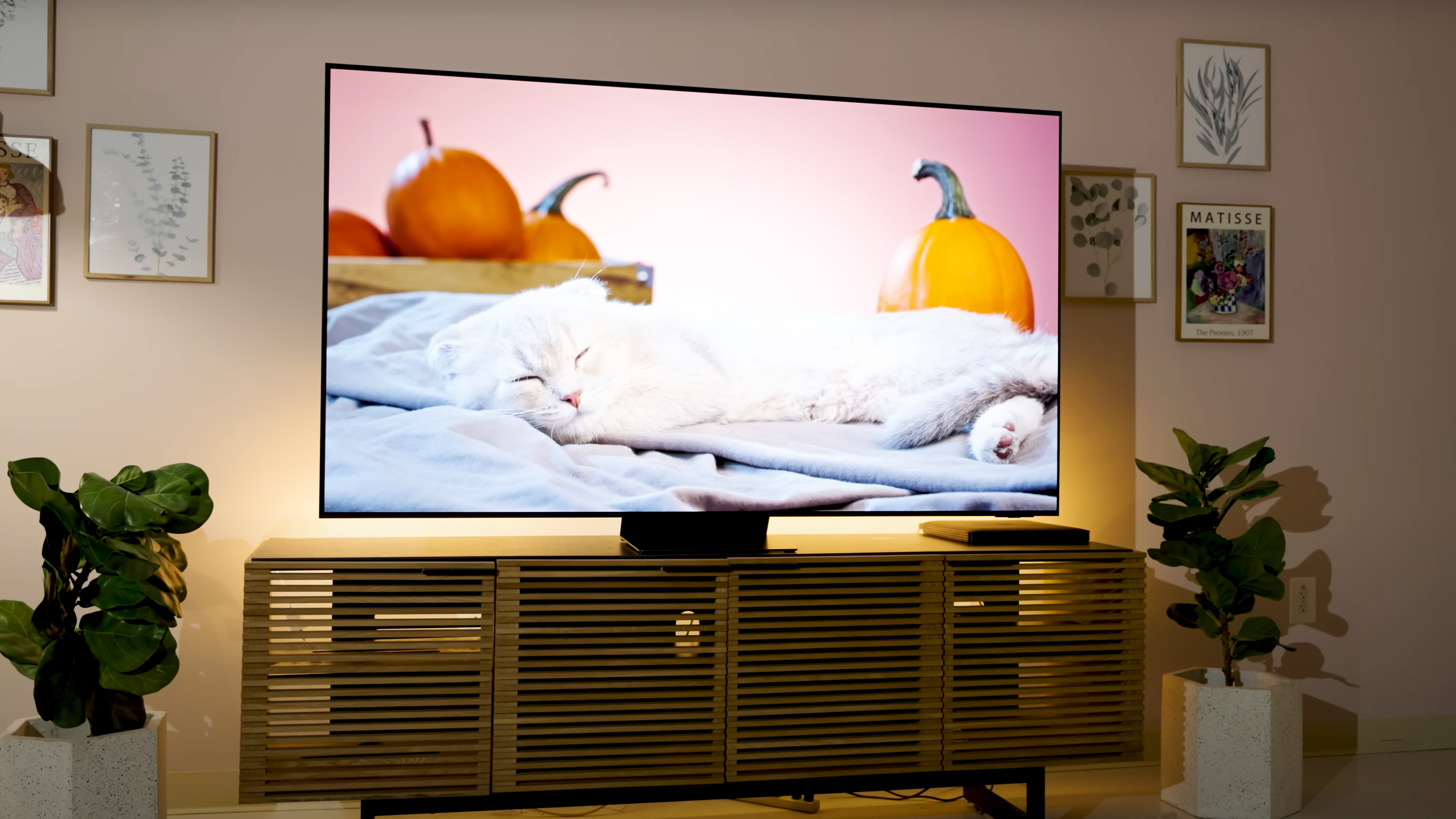 A scene of brightly colored produce is shown on a Samsung S95D OLED Tv.