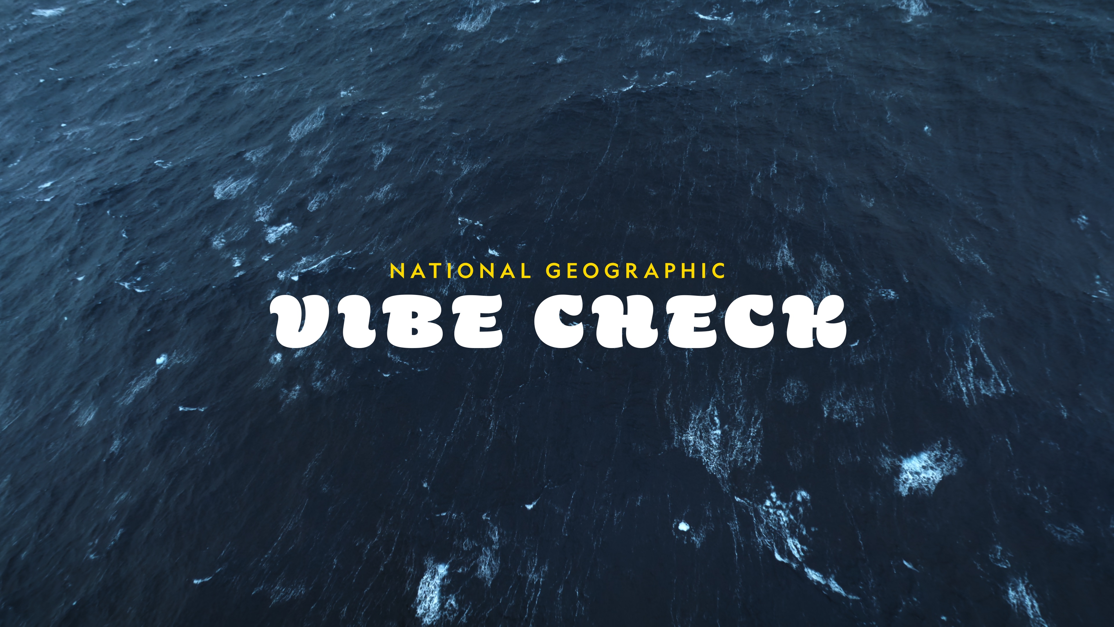 Logo for National Geographic x Vibe Check logo.