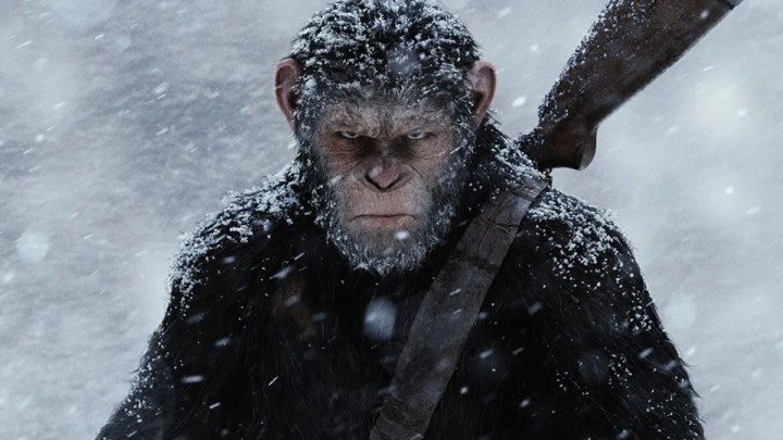 Caesar rides with a grim expression on his face in War for the Planet of the Apes.
