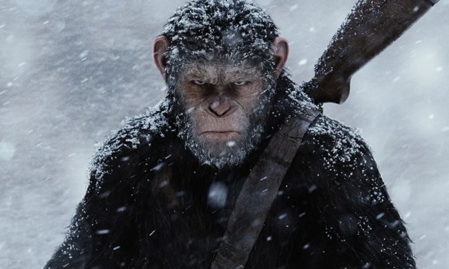 Caesar rides with a grim expression on his face in War for the Planet of the Apes.