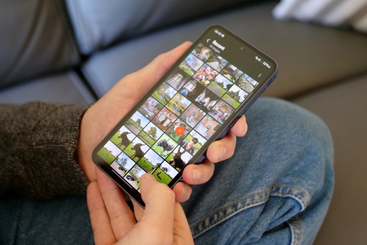 一个人在三星 Galaxy A55 上浏览图库应用程序。