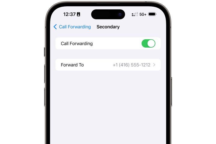 iPhone Call Forwarding settings.