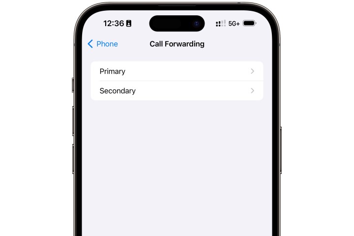 iPhone call forwarding settings for two lines.