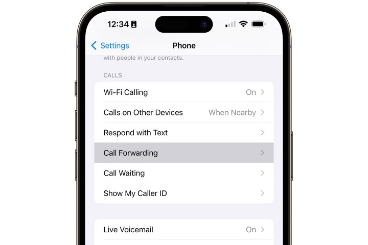 iPhone 设置应用程序中的电话部分，突出显示了“呼叫转接”。