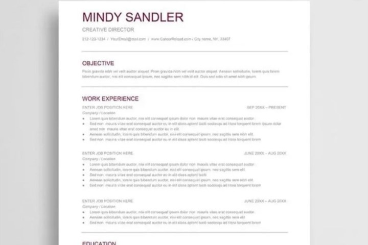 Mindy Sandler resume template.