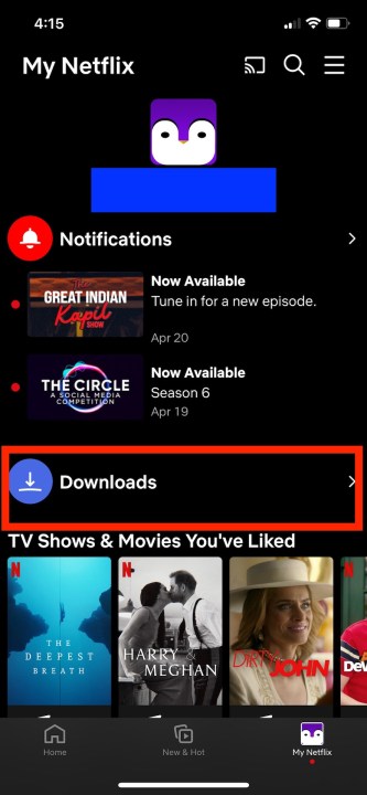 Un cuadro rojo alrededor de la cola de descargas en la aplicación de Netflix para iOS.