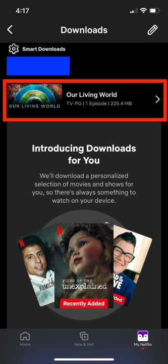 Un recuadro rojo alrededor de un episodio de TV descargado de Nuestro mundo viviente en la aplicación de Netflix para iOS.