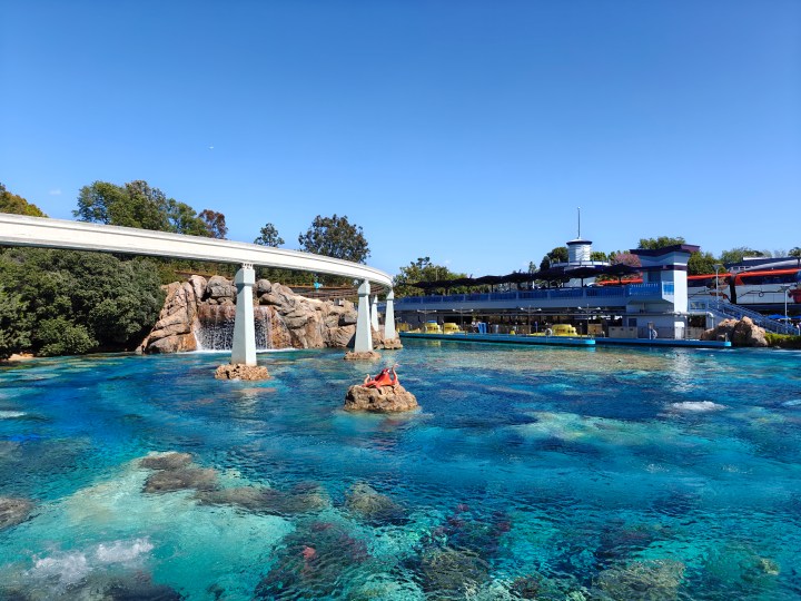 使用 OnePlus 12 主摄像头在迪士尼乐园寻找尼莫潜艇。