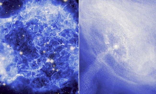A Tour of Cassiopeia A & Crab Nebula Timelapses