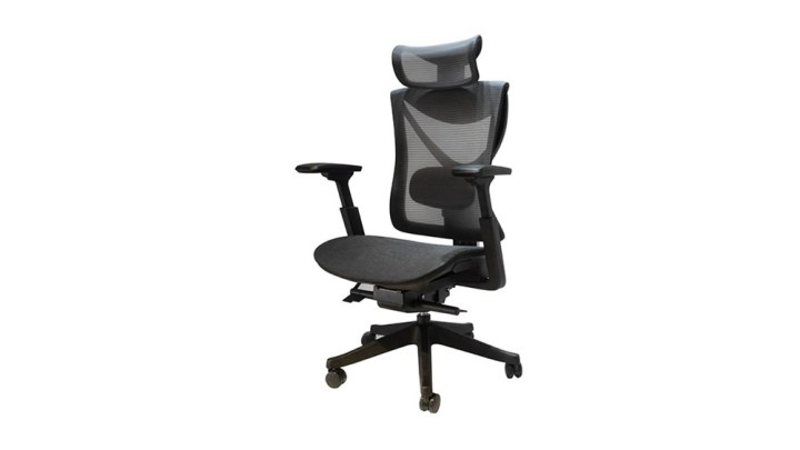 Flexispot Ergonomic Office Chair
