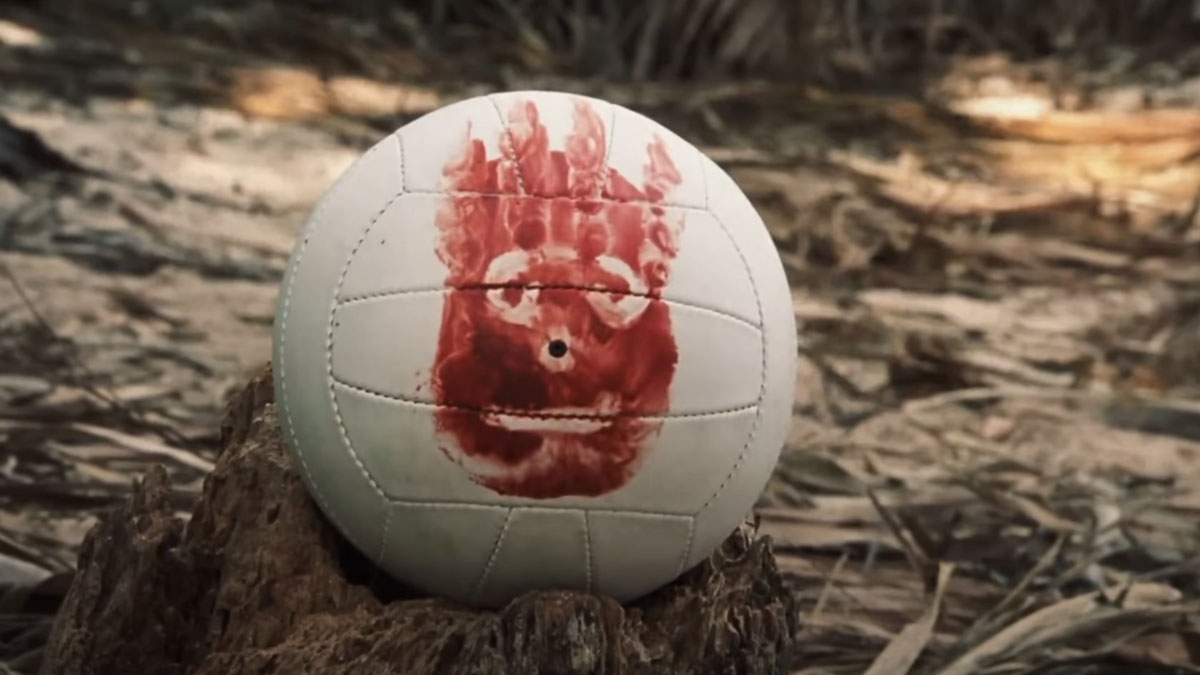 Wilson, a volleyball who co-stars in Cast Away.