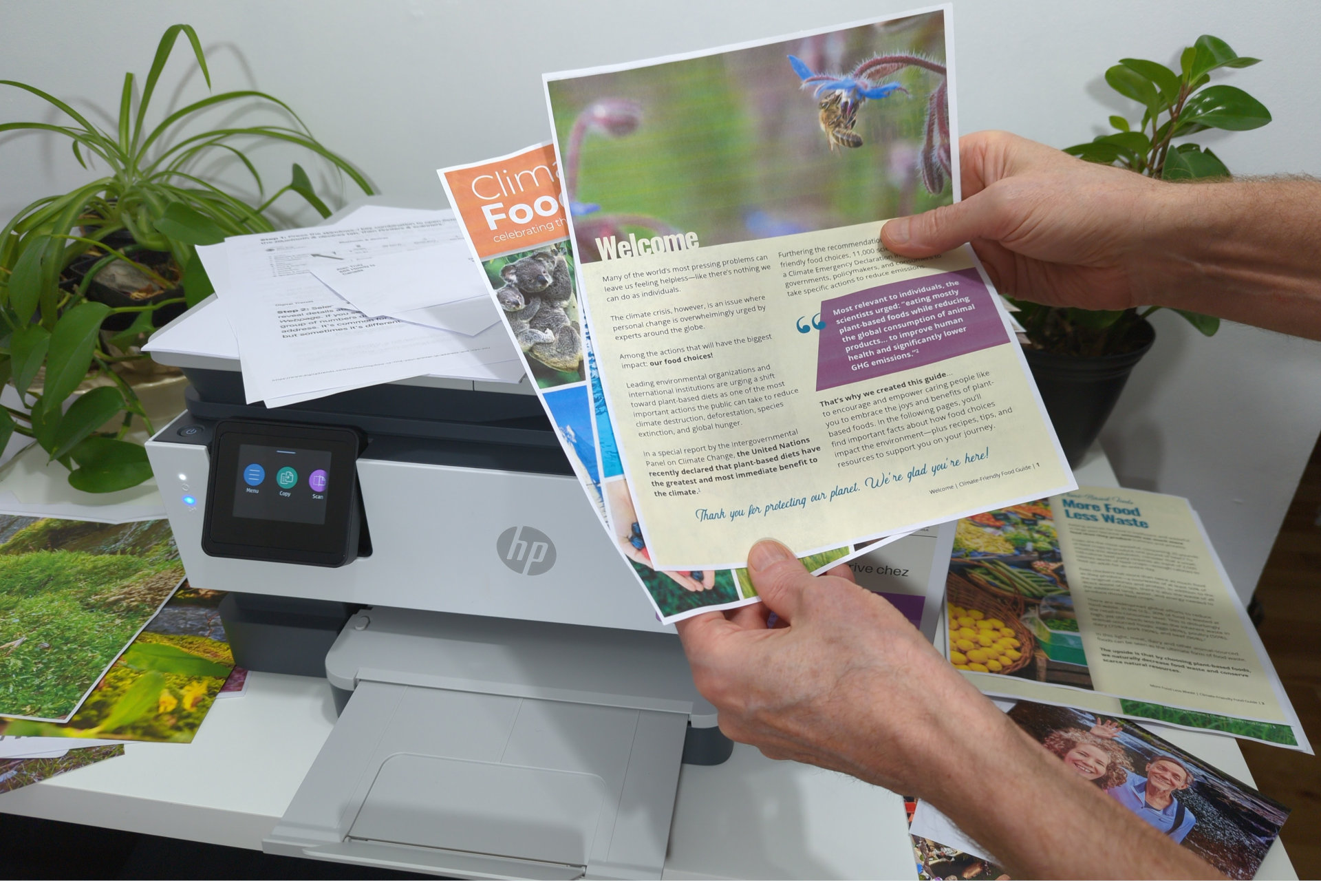 HP OfficeJet Pro 8135e review: home office printing on a budget