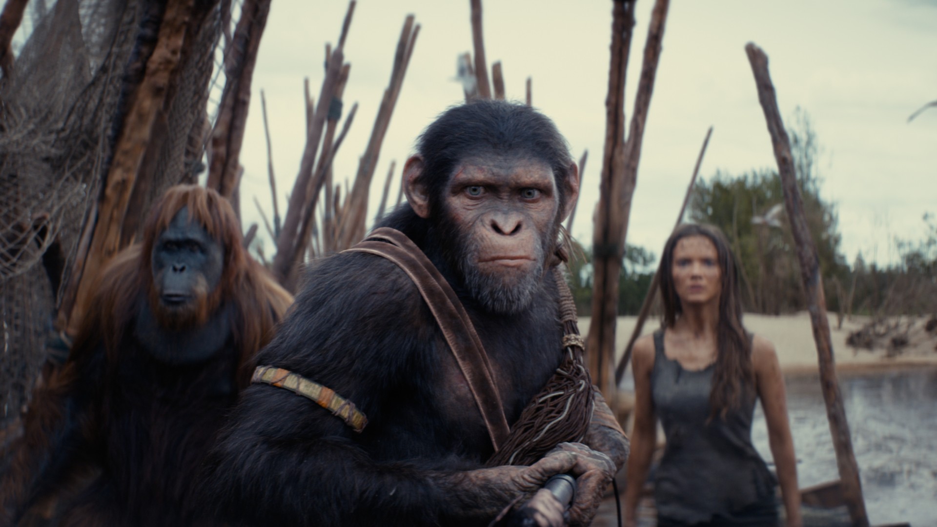 An orangutan, a chimp, and a human brace for battle in a still from Kingdom of the Planet of the Apes.