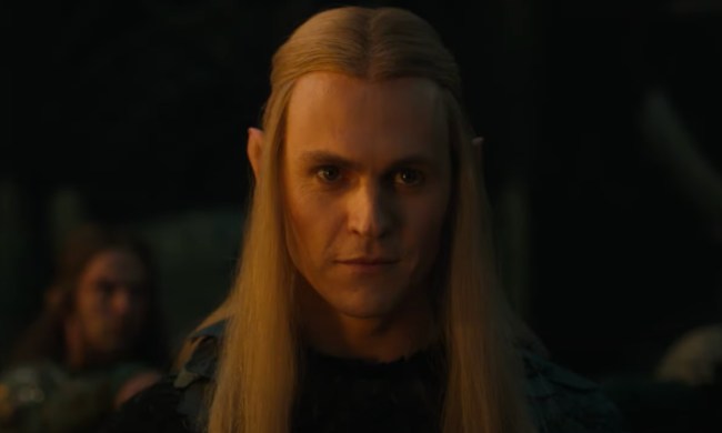 An elf looks with a sinister stare.