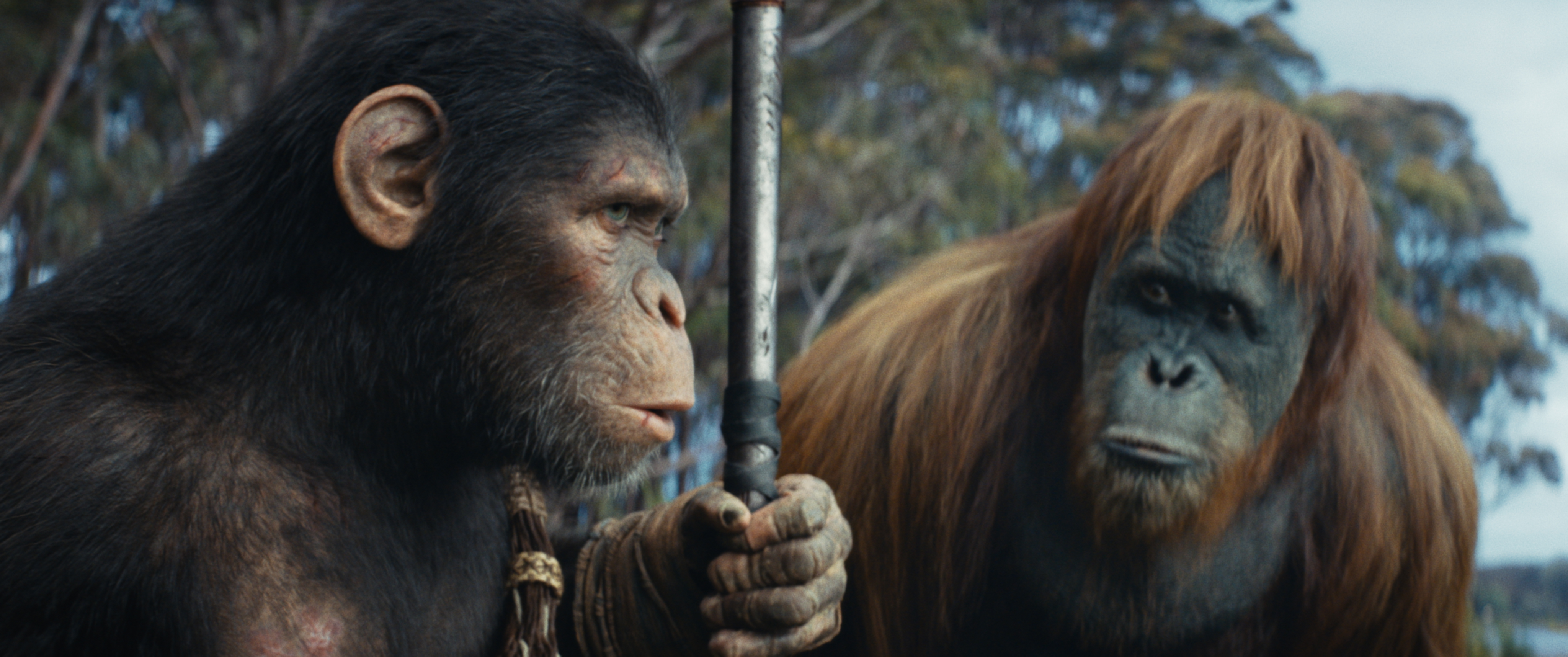 Noa (played by Owen Teague) stands by Raka (played by Peter Macon) in KINGDOM OF THE PLANET OF THE APES.