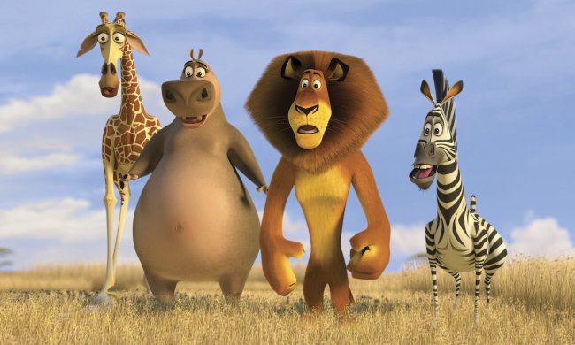 Melman, Gloria, Alex, and Marty in Madagascar: Escape 2 Africa.