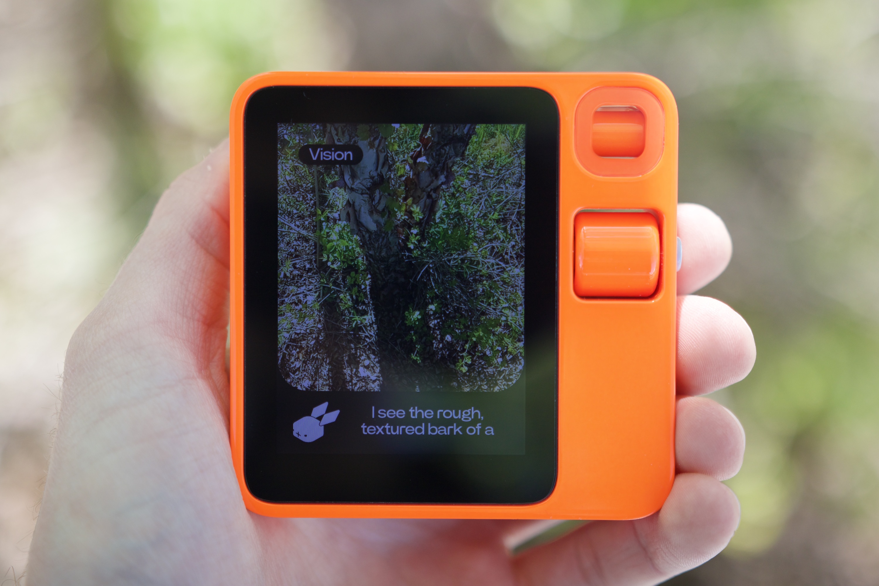 Vision mode on the Rabbit R1, identifying a nearby tree.