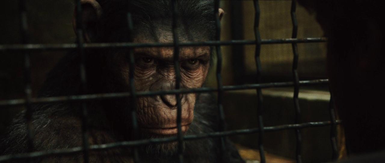 Caesar looks out the bars of his cell in Rise of the Planet of the Apes