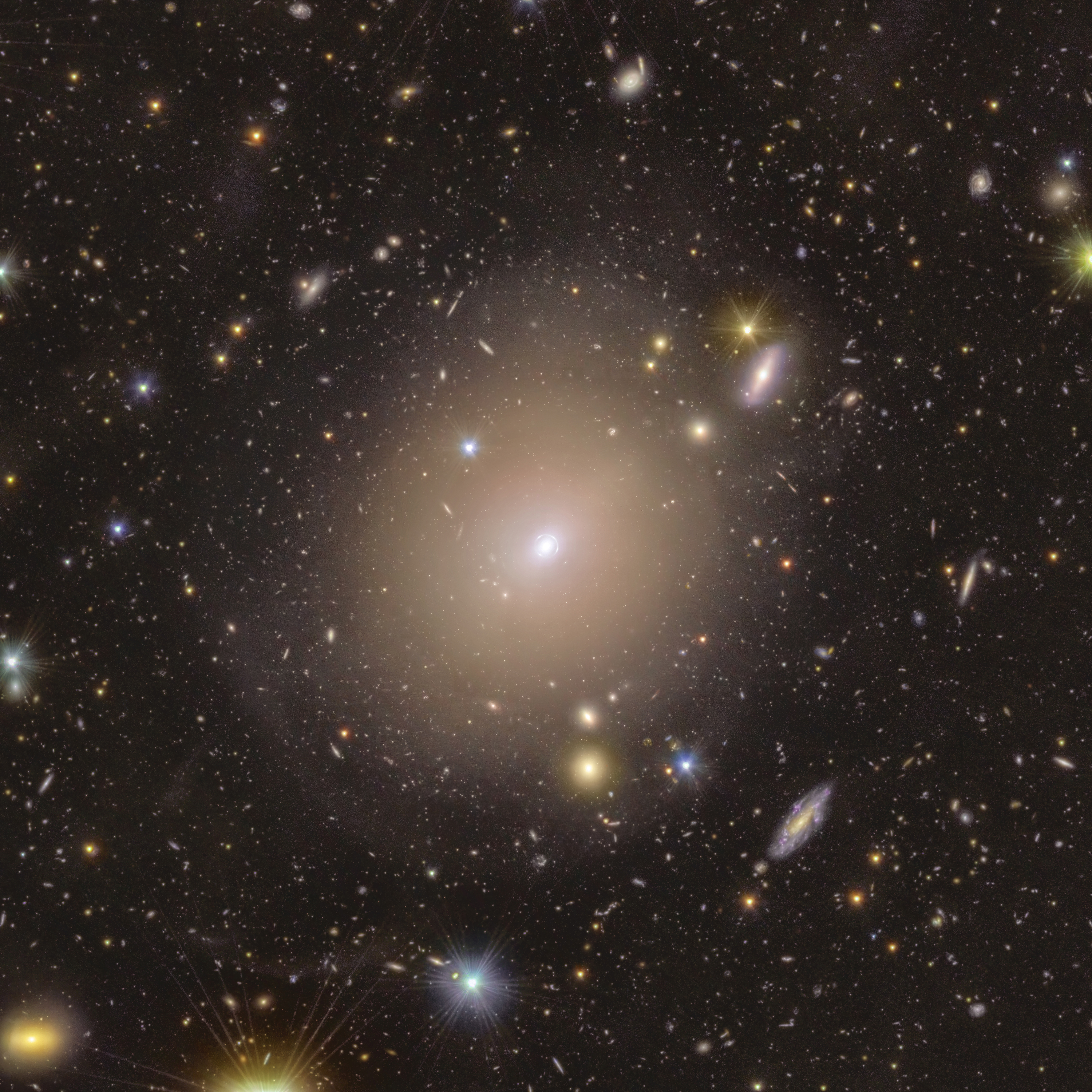 Euclid telescope spots a rare Einstein Ring in a nearby galaxy